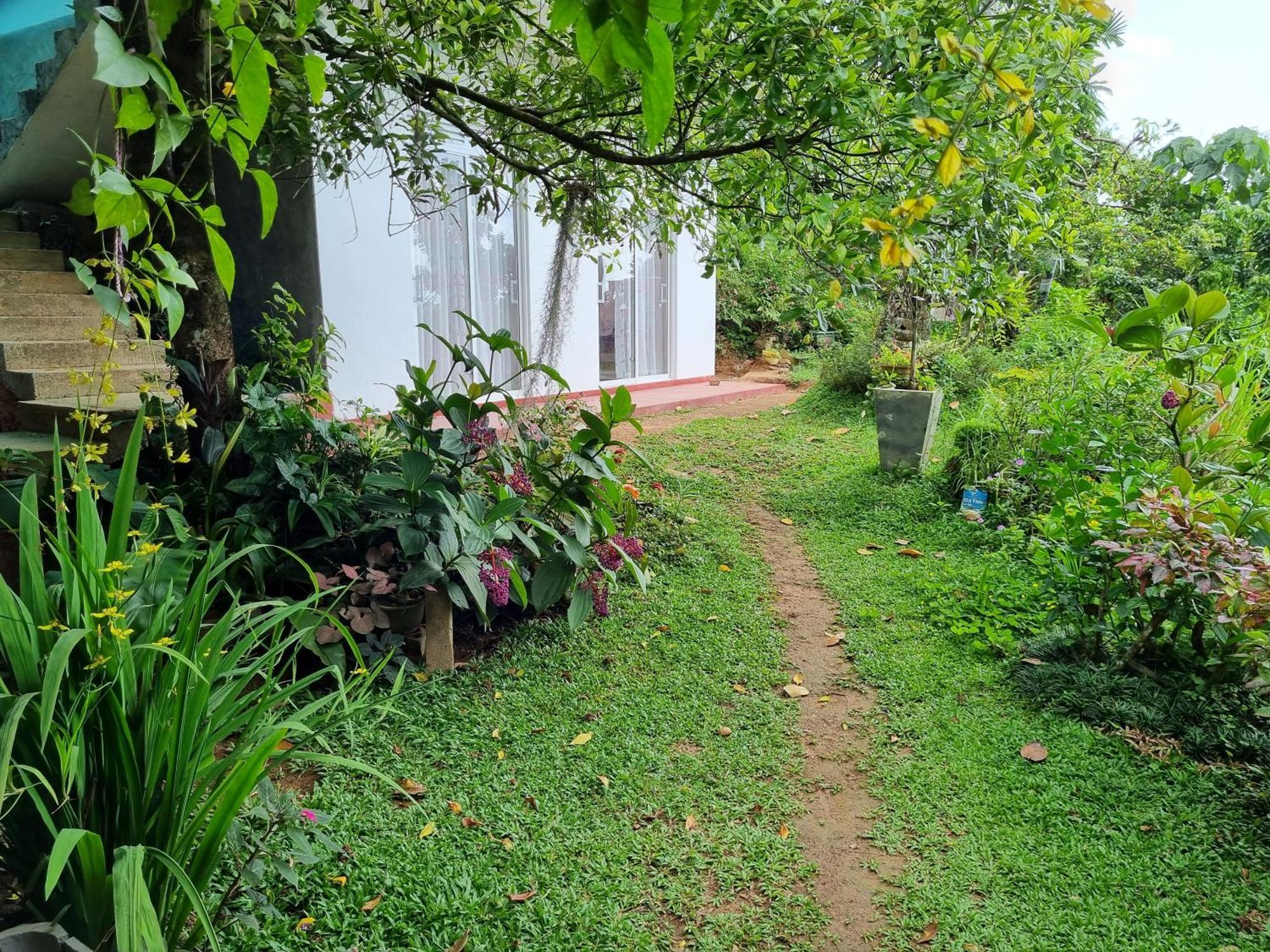 Squirrel'S Nest Hotel Kandy Kültér fotó