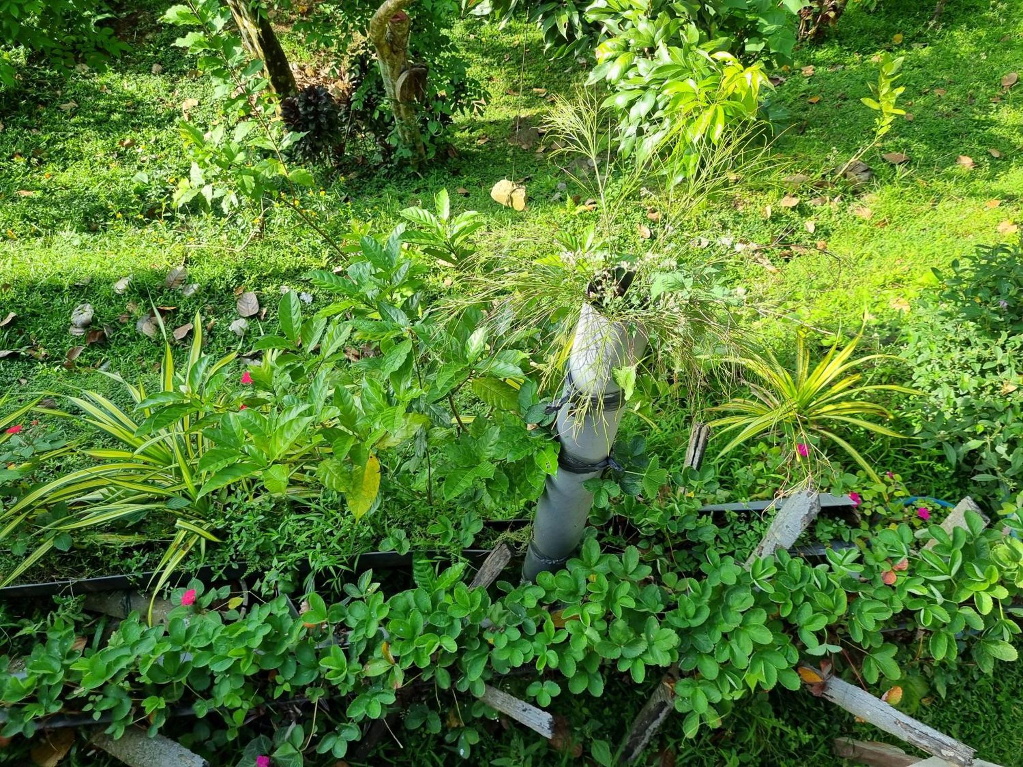 Squirrel'S Nest Hotel Kandy Kültér fotó