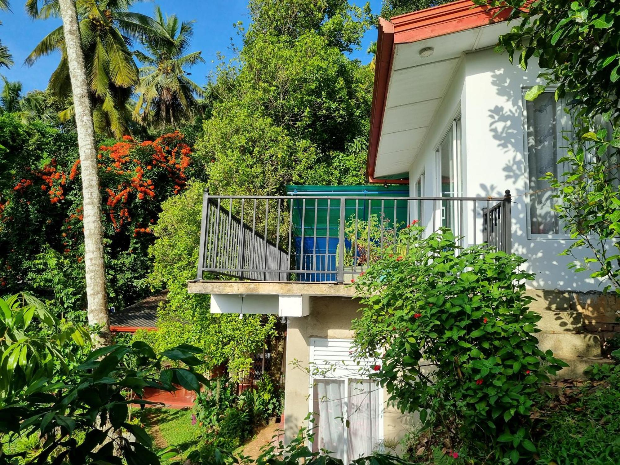 Squirrel'S Nest Hotel Kandy Kültér fotó